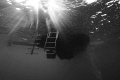  Taken whilst my saftey stop early morning dive liveaboard Red Sea. Viz was horrible so took Black white approach.I like light rays this one. Sea approach. approach one  